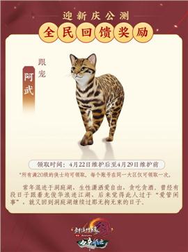 漂亮的天龙八部私服列表文本